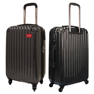 Luggage PNG image-10722